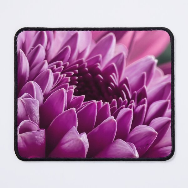 Item preview, #278 A Close Up Photo Of A Garden Dahlia Flower, Macro Photography designed and sold by phutball.