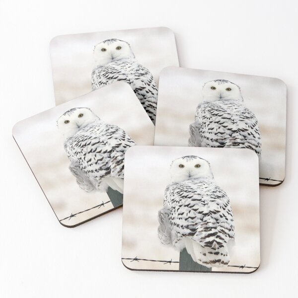 Item preview, Female Snowy Owl designed and sold by Alyce Taylor.