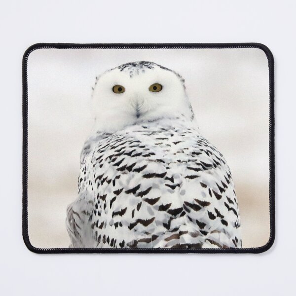 Item preview, Female Snowy Owl designed and sold by Alyce Taylor.