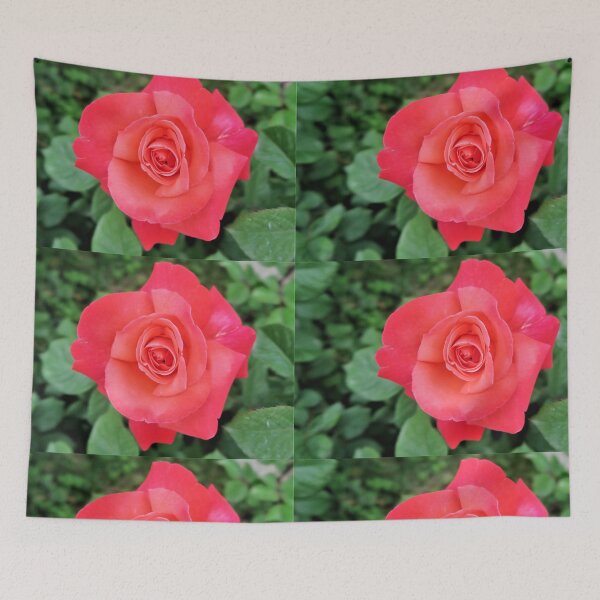 Item preview, Gorgeous Pink Rose designed and sold by newburyboutique.