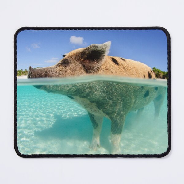 Item preview, Big Mama Pig in the Water designed and sold by Caitlin Chock.