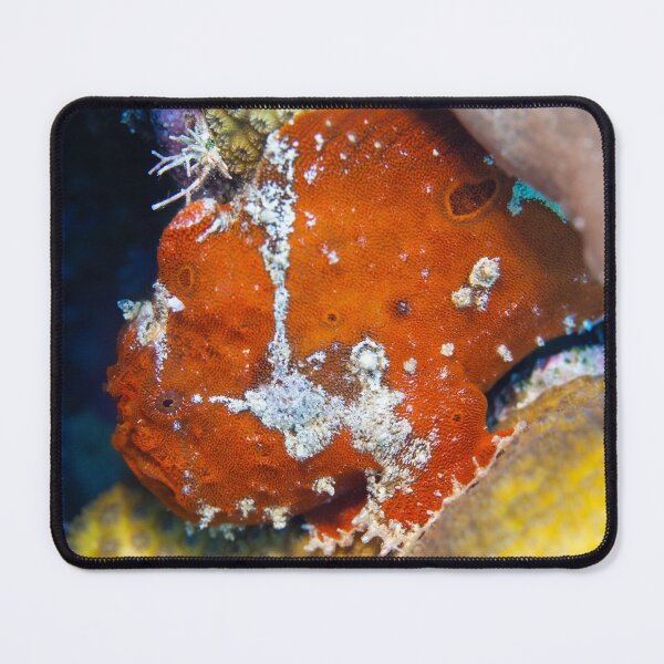 Item preview, Colorful Frogfish Friend designed and sold by Caitlin Chock.