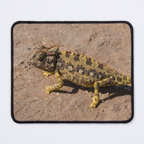 Item preview, A namaqua chameleon in the Namib Desert designed and sold by Lyl Dil Creations.