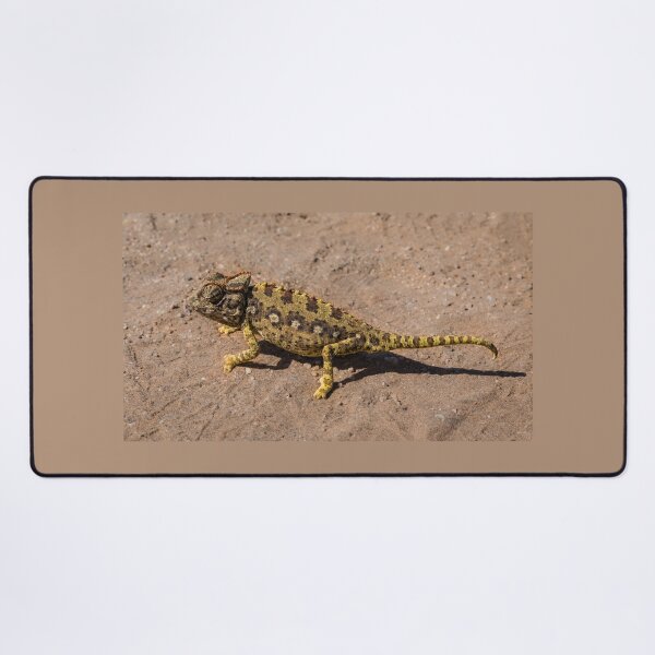 Item preview, A namaqua chameleon in the Namib Desert designed and sold by Lyl Dil Creations.
