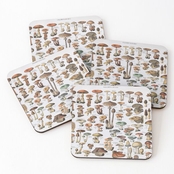 Item preview,  Vintage Edible Mushroom Chart designed and sold by GlowinUp Shop.
