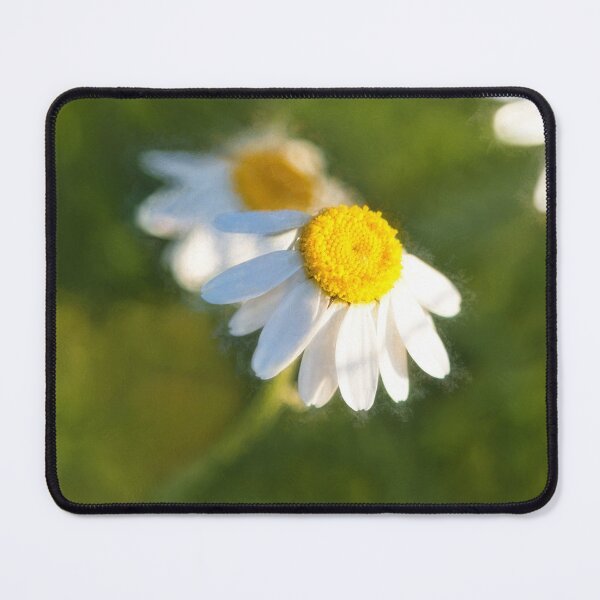 Item preview, Daisies designed and sold by Dorset Girl.
