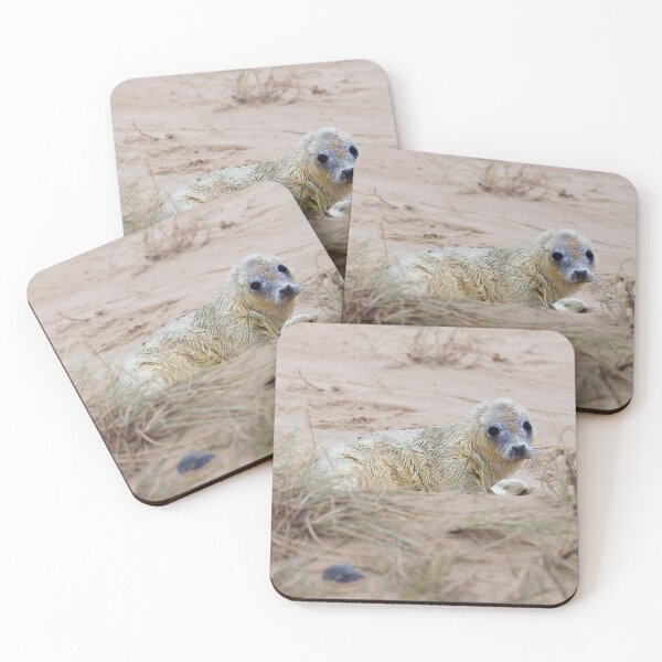 Item preview, Lindo cachorro de foca designed and sold by AMS WORLD.