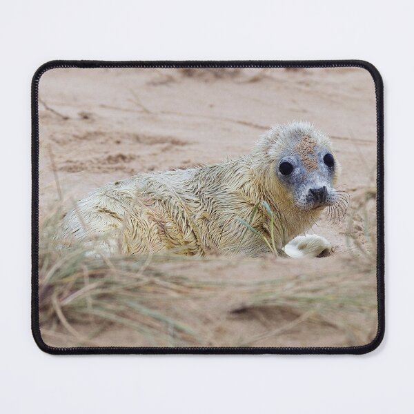 Item preview, Cute Seal Pup designed and sold by AMS WORLD.