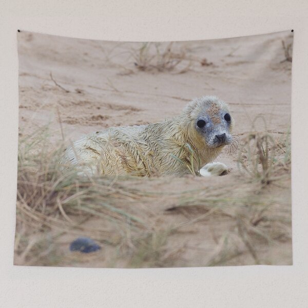 Item preview, Cute Seal Pup designed and sold by AMS WORLD.