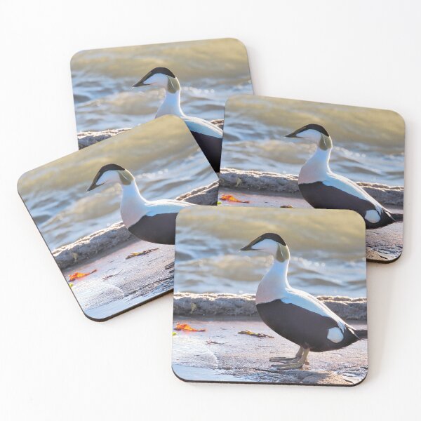 Item preview, Eider Duck at the Harbour Lyme Regis designed and sold by Dorset Girl.