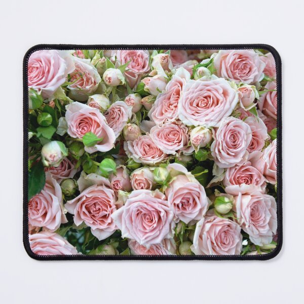 Item preview, Blush Pink Rose Flowers Blooming designed and sold by newburyboutique.