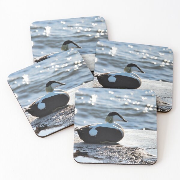 Item preview, Eider Duck at the Harbour Lyme Regis designed and sold by Dorset Girl.