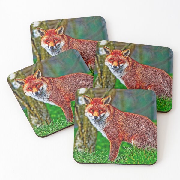 Item preview, Arty Mr Red Fox designed and sold by Martyn R Arnold Fine Art Nature & Landscape Photography.
