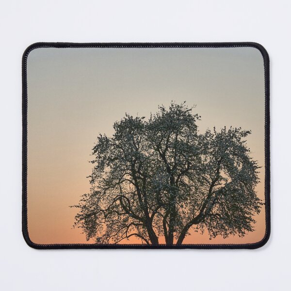 Item preview, Beautiful Orange Tree Sunset designed and sold by newburyboutique.