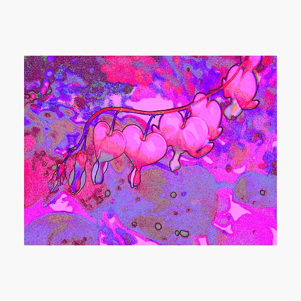 Bleeding Hearts Photographic Print