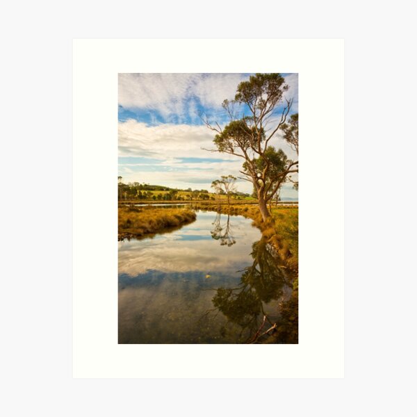Item preview, Saltwater River, Tasmania #2 designed and sold by Chris Cobern.