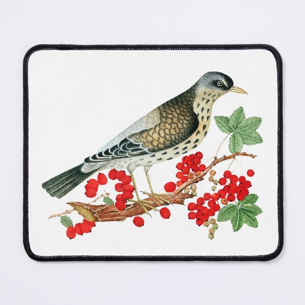 Item preview, Vintage Bird with Red Berries. Vibrant Berries designed and sold by silviaol.