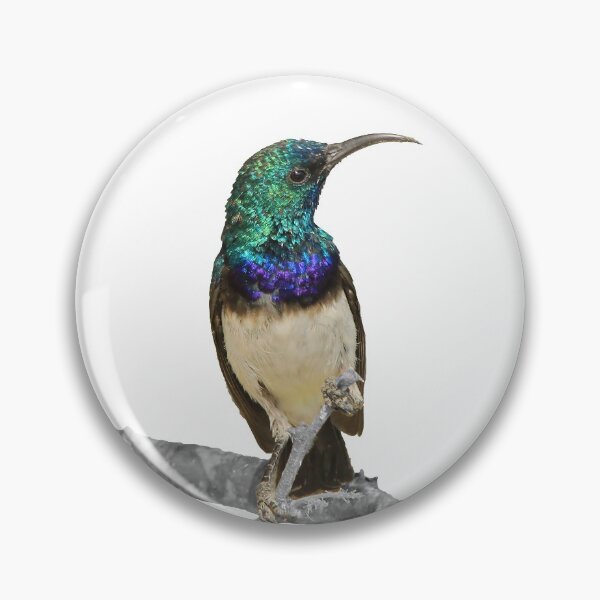 Item preview, Sunbird Beauty - Selective Coloring designed and sold by LivingWild.