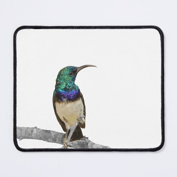Item preview, Sunbird Beauty - Selective Coloring designed and sold by LivingWild.