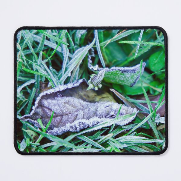 Item preview, Frosty Morn designed and sold by Murphotography.