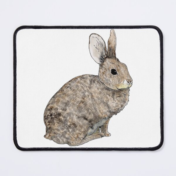Item preview, California Brush Rabbit designed and sold by Dayanna Knight.