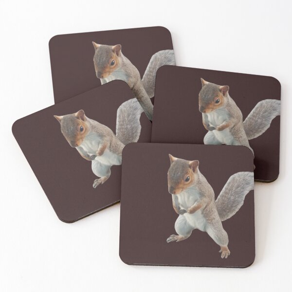 Item preview, lovable squirrel designed and sold by StoreRahhal.