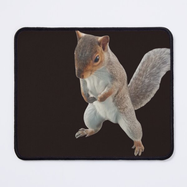 Item preview, lovable squirrel designed and sold by StoreRahhal.