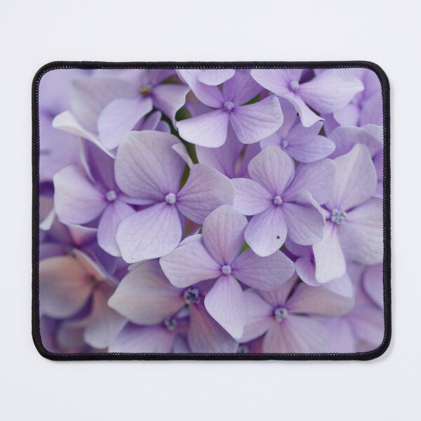 Item preview, Lavender Purple Hydrangeas designed and sold by newburyboutique.