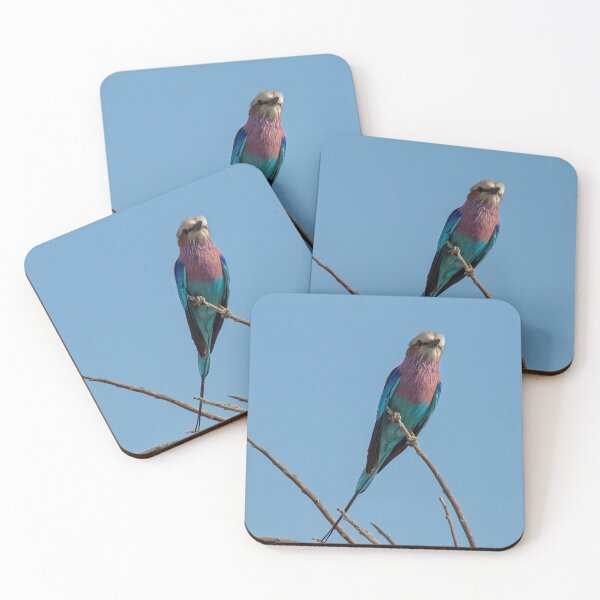 Item preview, Lilac Breasted Roller Portrait designed and sold by Kay Brewer.