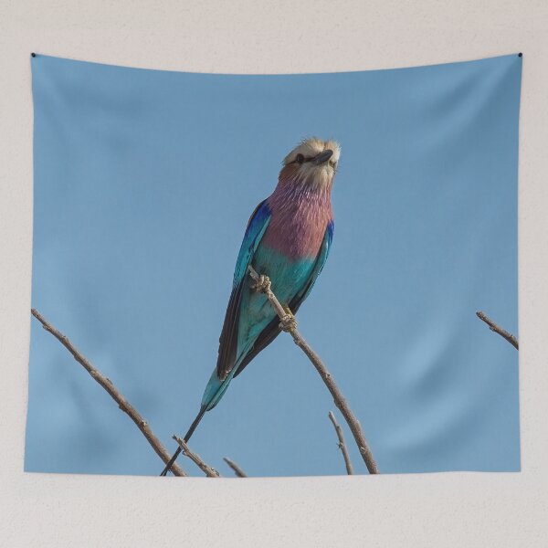 Item preview, Lilac Breasted Roller Portrait designed and sold by Kay Brewer.
