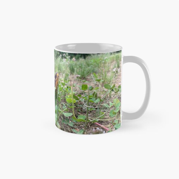 Item preview, Eastern Box Turtle designed and sold by JeoImage.