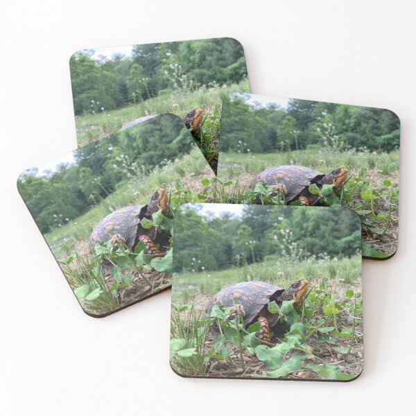 Item preview, Eastern Box Turtle designed and sold by JeoImage.