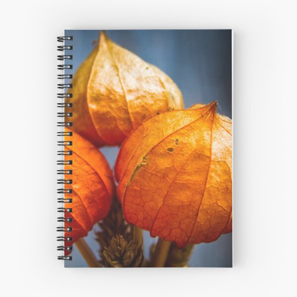 Item preview, Physalis designed and sold by Lyl Dil Creations.