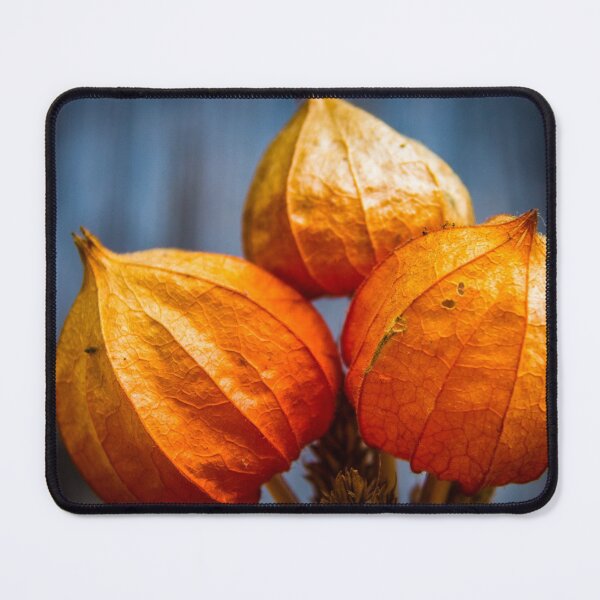 Item preview, Physalis designed and sold by Lyl Dil Creations.