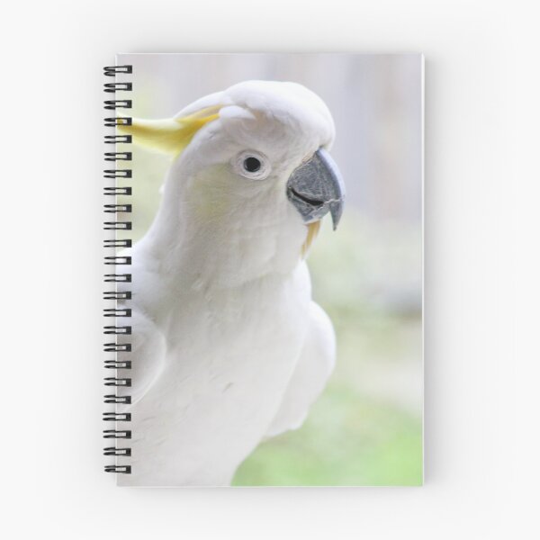 Item preview, Sulphur-Crested Cockatoo designed and sold by John Weeks.