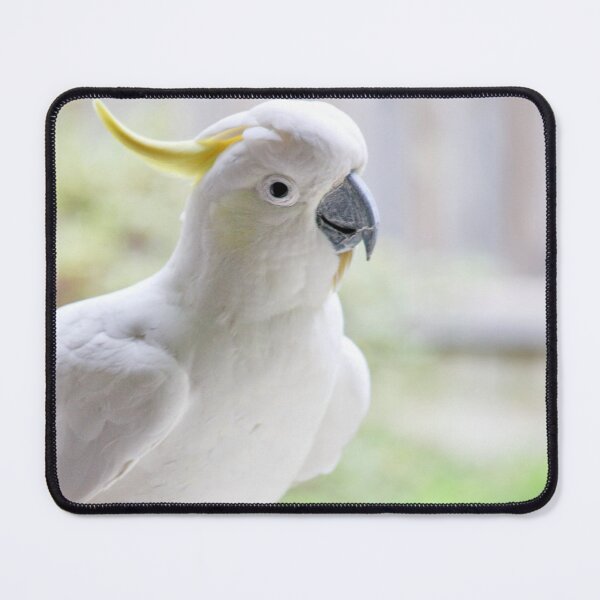 Item preview, Sulphur-Crested Cockatoo designed and sold by John Weeks.