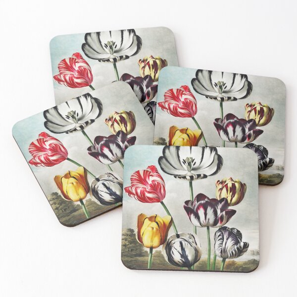 Item preview, Tulips from The Temple of Flora (1807) by Robert John Thornton designed and sold by IslandArt.
