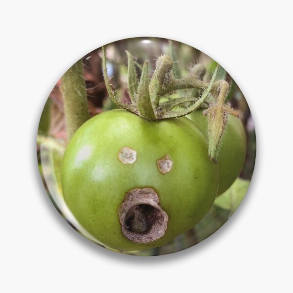 Item preview, Grumpy GreenTomato ED01 designed and sold by Elisabeth Dubois.