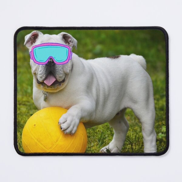 Item preview, Cool Pug designed and sold by Reecethebeast.