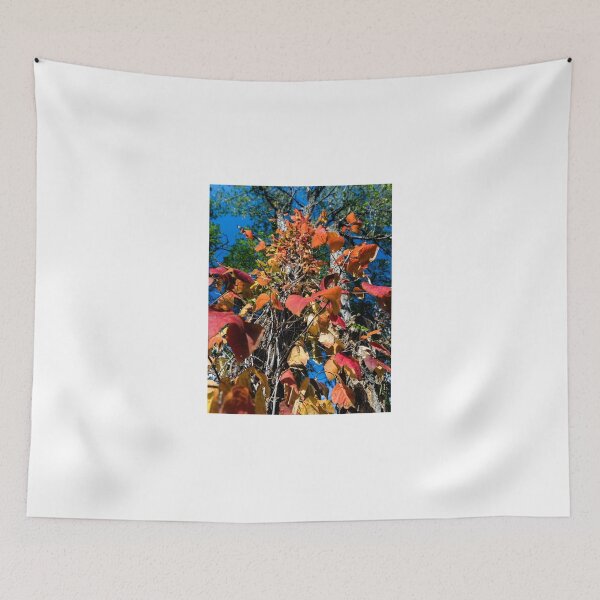 Item preview, Down comes the rouge designed and sold by Joel Bader.