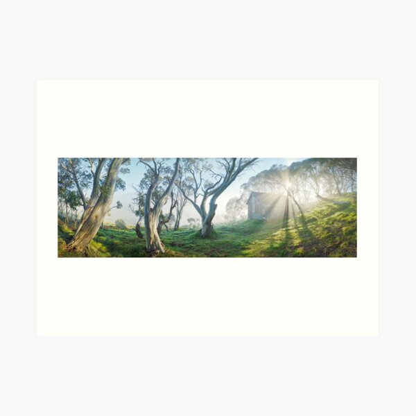 Art Print