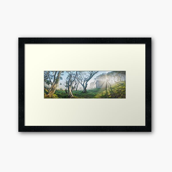 Framed Art Print