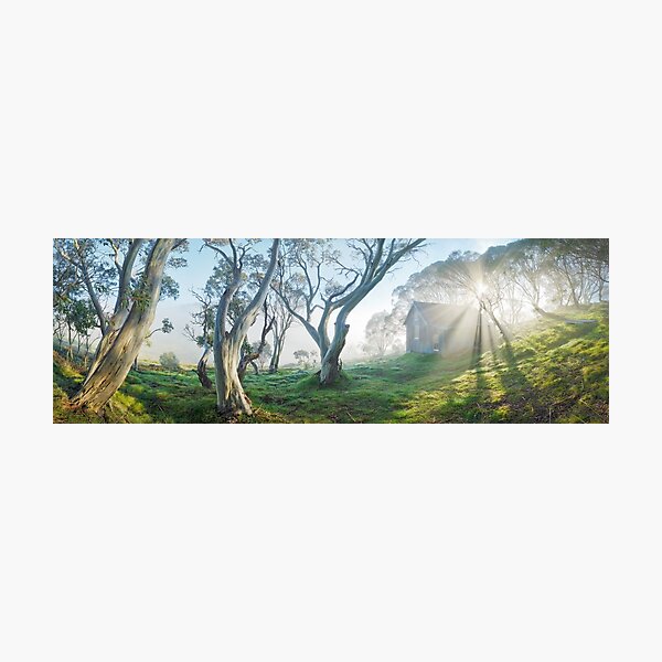 Photographic Print