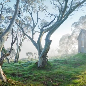 Artwork thumbnail, Cope Hut, Falls Creek, Victoria, Australia by Michael Boniwell