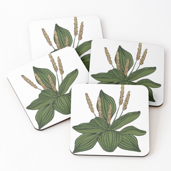Item preview, Plantain Weed designed and sold by AppalachianAir.