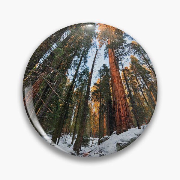 Artikelvorschau, Sequoia Nationalpark entworfen und verkauft von JoshuaDarbon94.