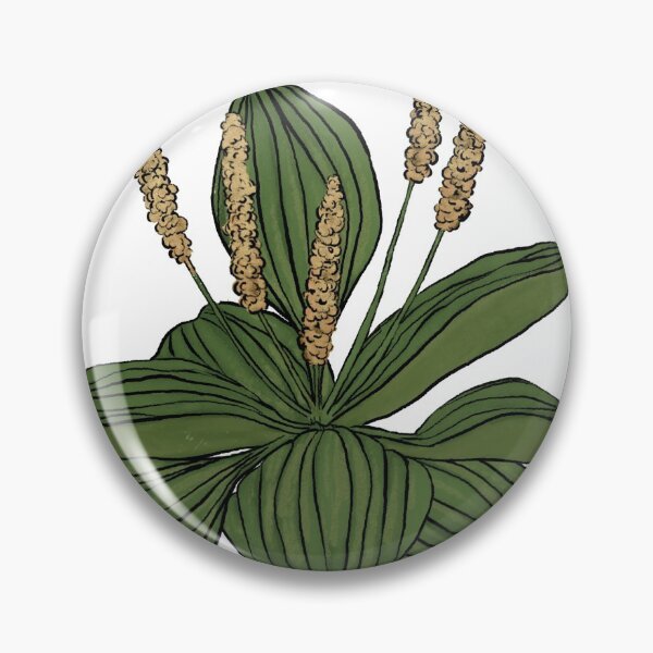 Item preview, Plantain Weed designed and sold by AppalachianAir.