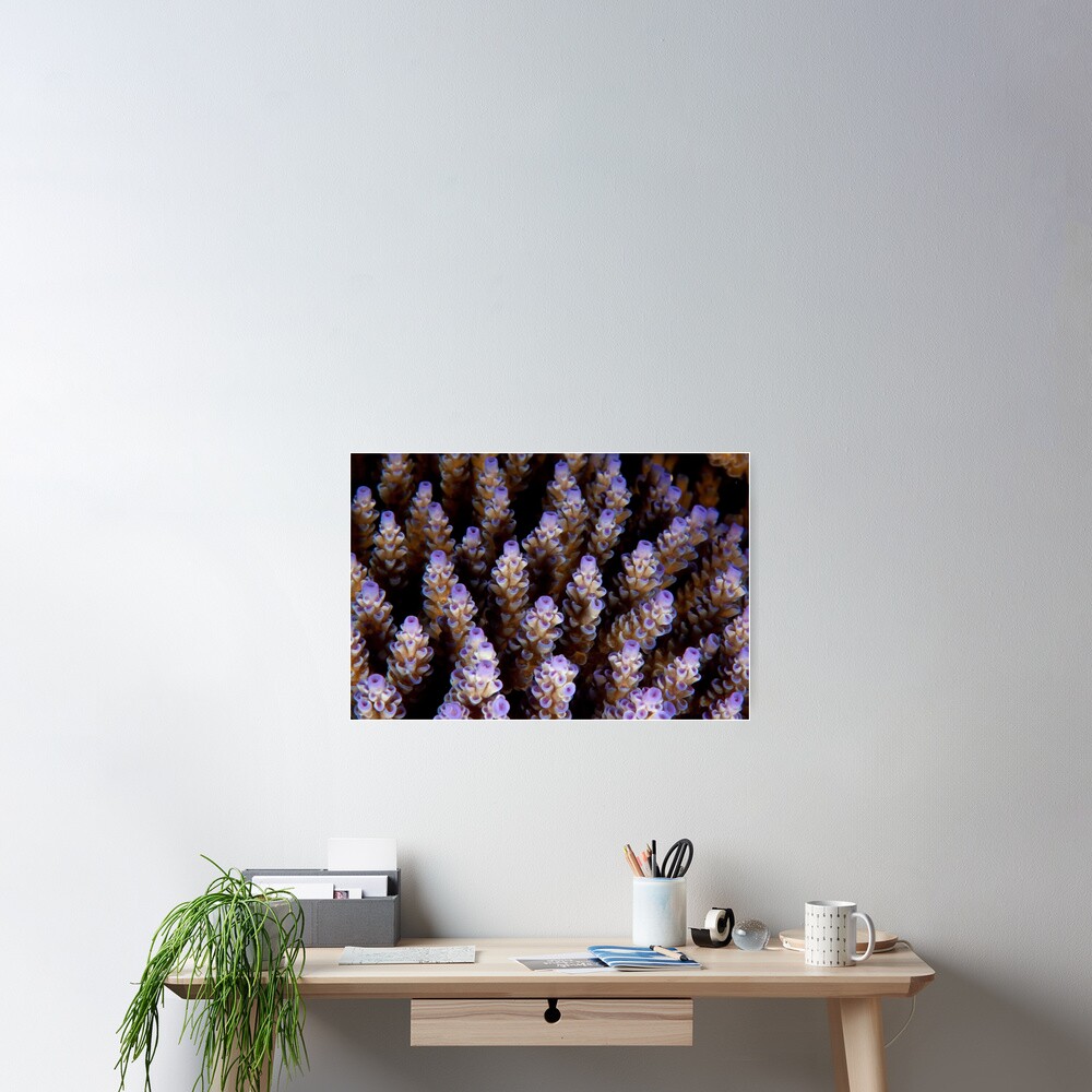 Towers Poster