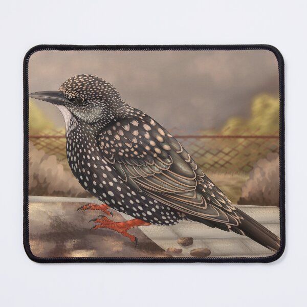 Item preview, Rocky path designed and sold by DragonArtist15.