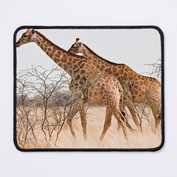 Item preview, Giraffes On Another Level designed and sold by naturesdreams.